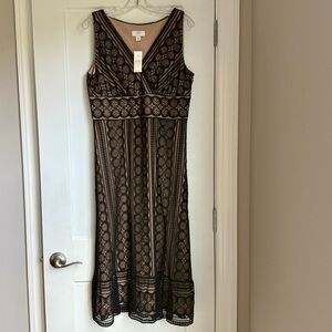 LOFT Elegant Black Lace Dress